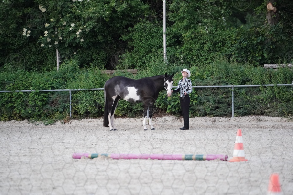 s_A9_05420.jpg